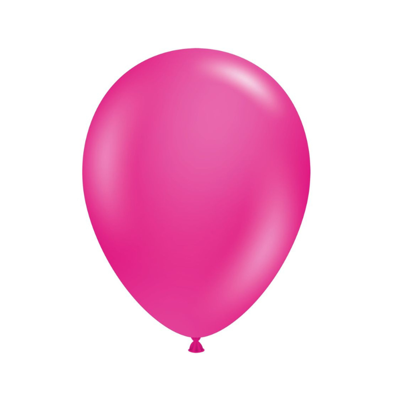 Everts Standard Fuchsia Pink Latex Balloons